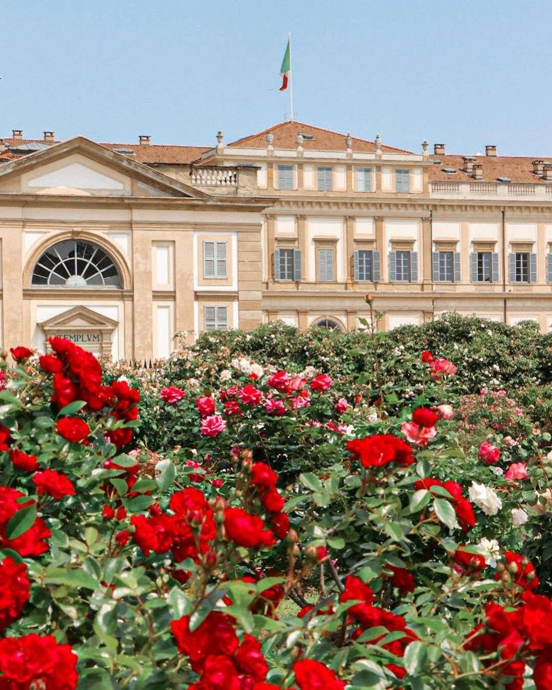 roseto villa reale monza